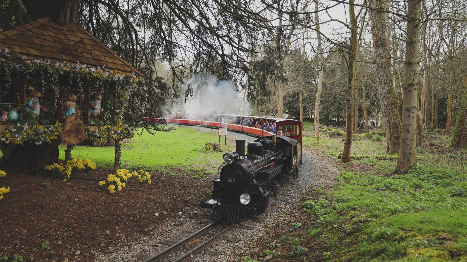 Miniature railway train on tracks going through woodland area at Audley End Miniature Railway