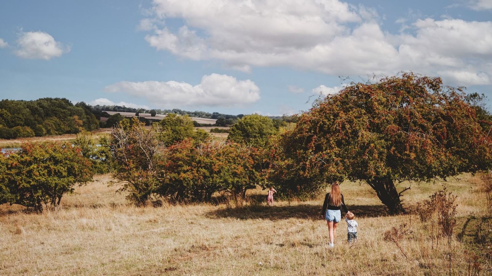 Walking around Hatfield Broad Oak