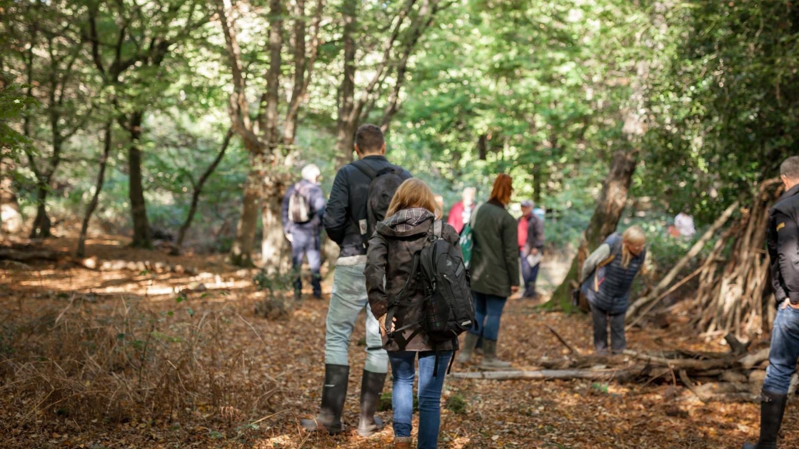 Group of people walking through woodlands