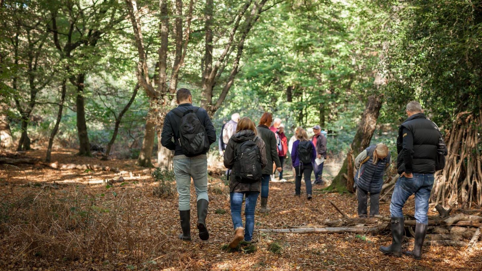 People walking in Epping Forest, surrounded by trees, leaves on the ground during autumn