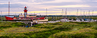 Tollesbury Marshes