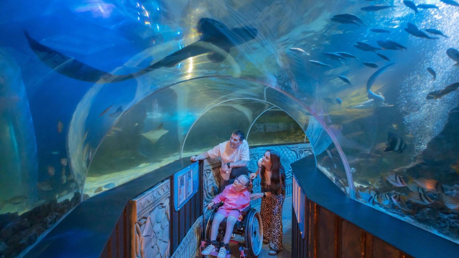 Parents with daughter in wheelchair in the tunnel at Sealife Adventure looking at fish and sharks