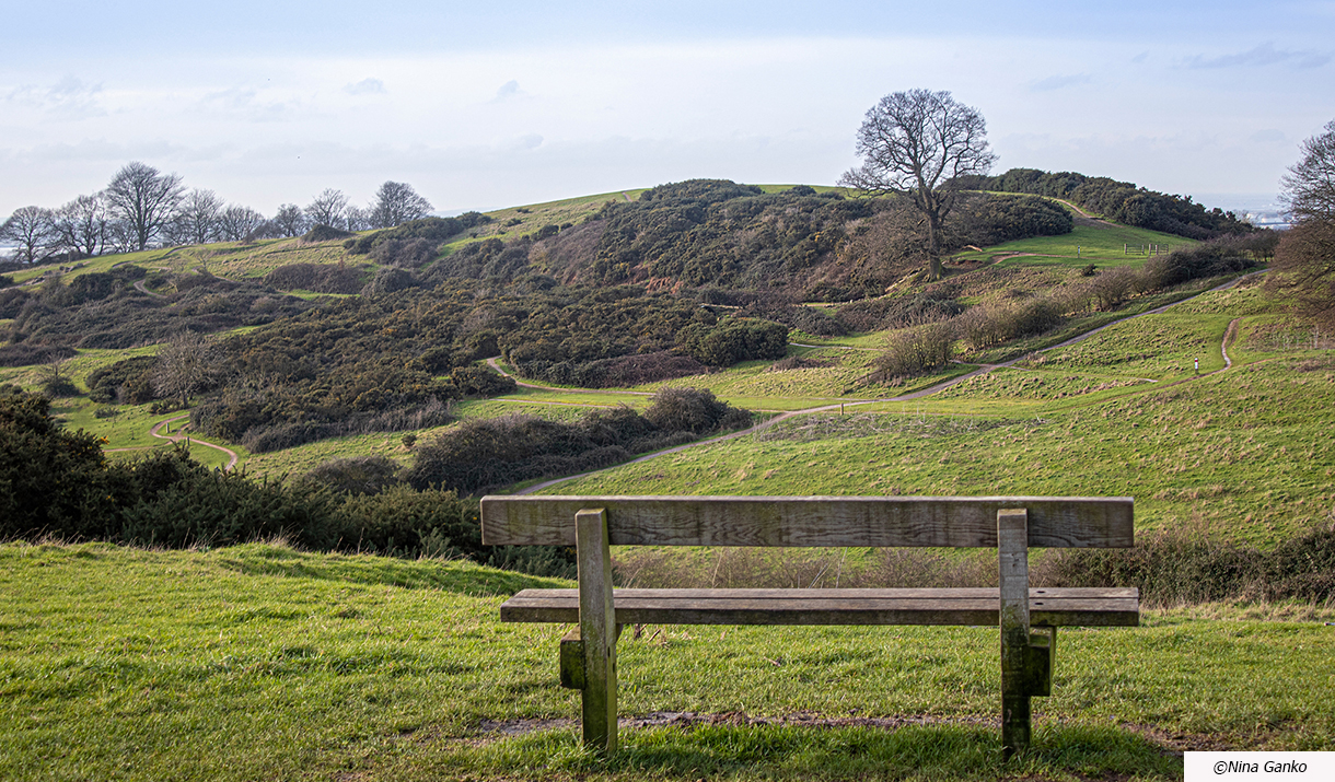 Hadleigh Country Park Country Park in Hadleigh Benfleet Visit