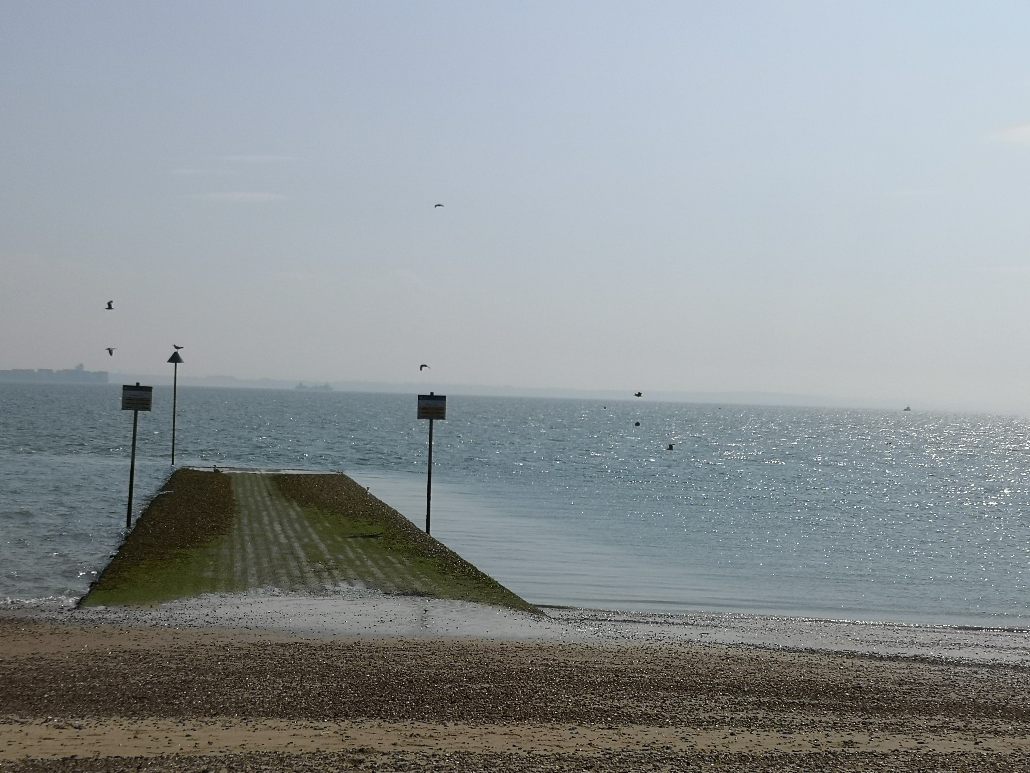chalkwell beach beach in southend southend on sea visit essex