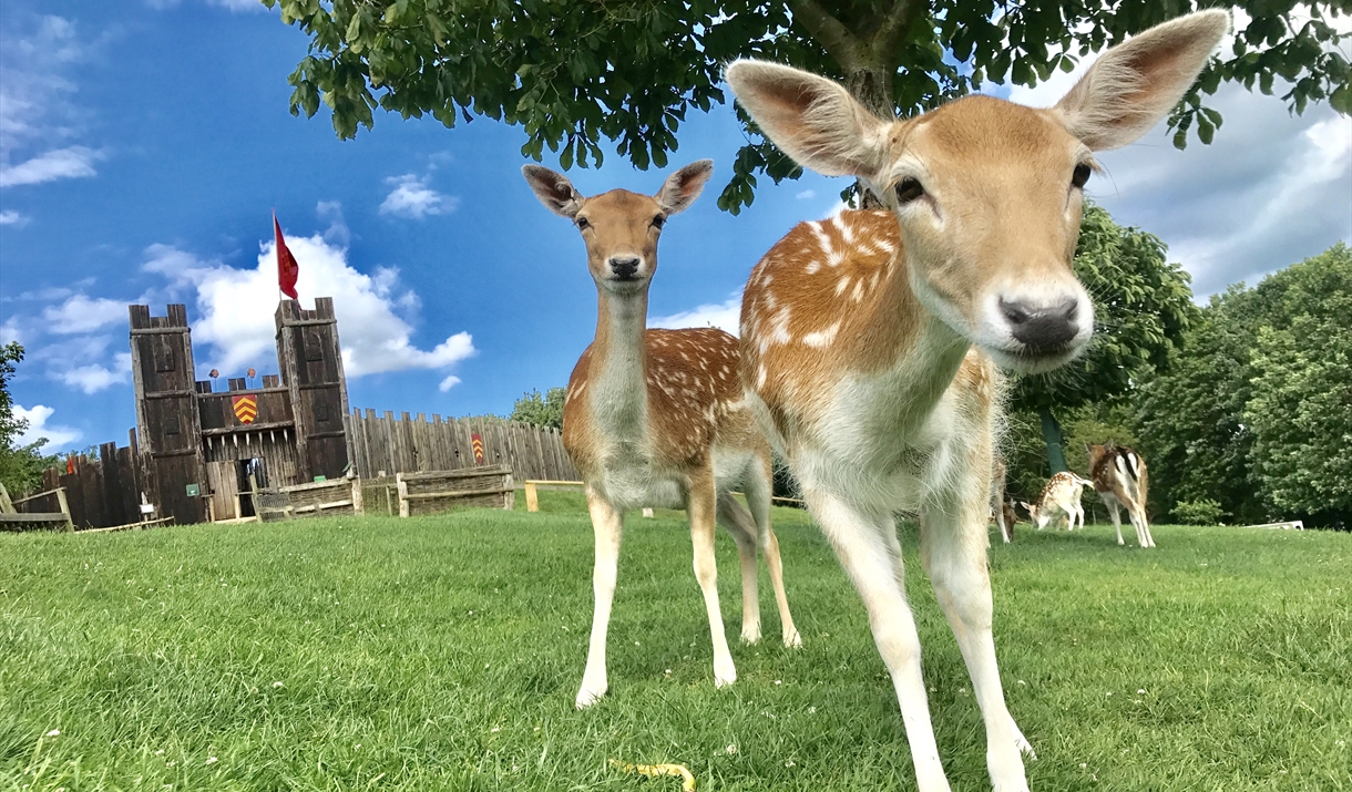 Stansted Mountfitchet Town in Stansted, Stansted Mountfitchet Essex