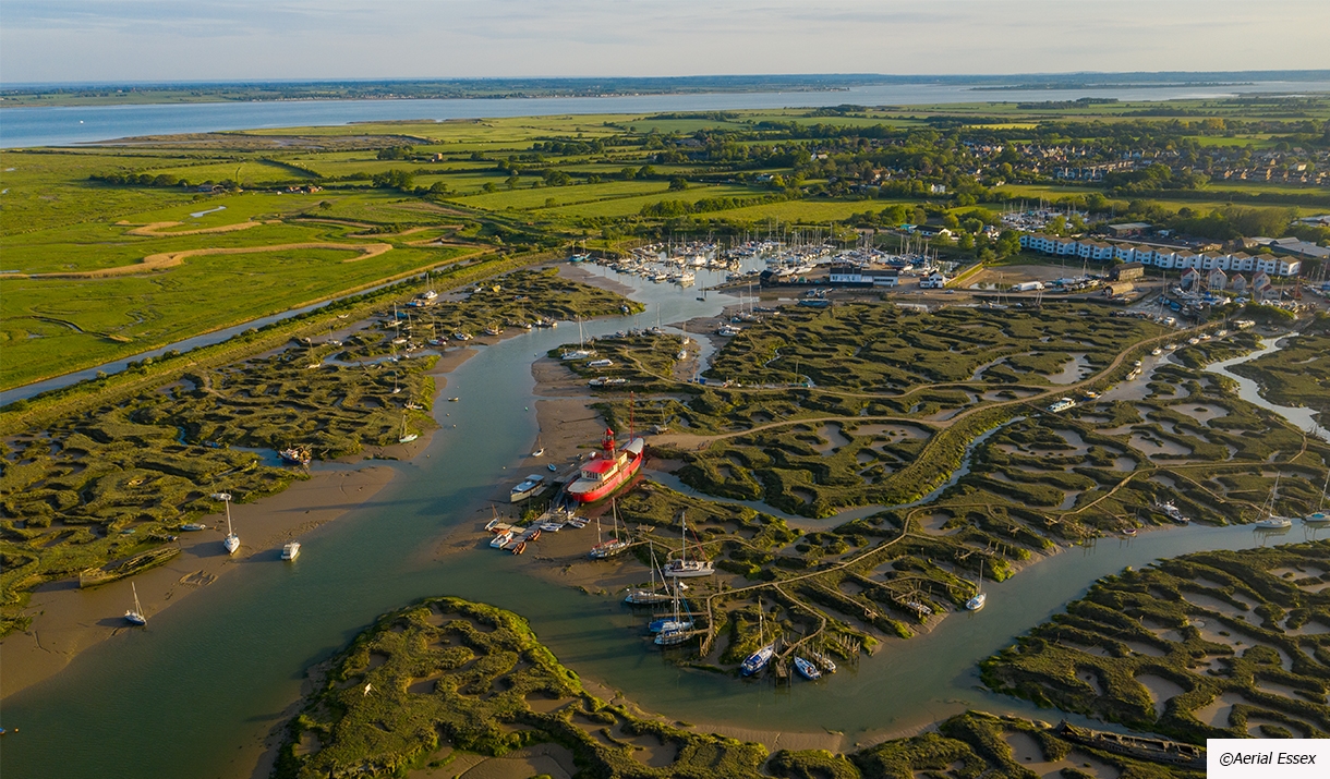 Tollesbury Wick Marshes Nature Reserve in Maldon, Maldon Essex